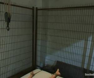 Best Free High Definition Porn, New HD Porn Videos Everyday, High Quality Sex Videos, Stream or Download XXX HD. 