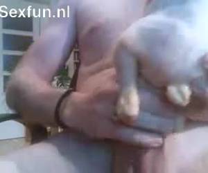 nasıl cehenneme ben bir tavuğum